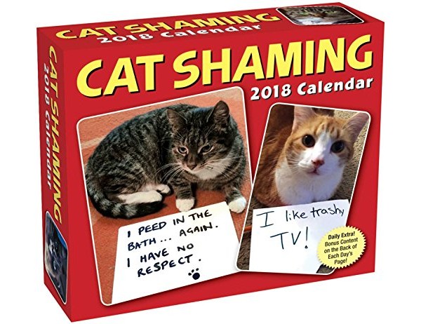 Cat Shaming 2018 Day-to-Day Calendar $7.49 (reg. $14.99)