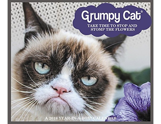 2018 Grumpy Cat Calendar (Year-In-A-Box) $7.49 (reg. $14.99)