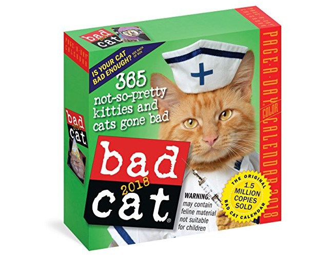 Bad Cat Page-A-Day Calendar 2018 $7.49 (reg. $14.99)