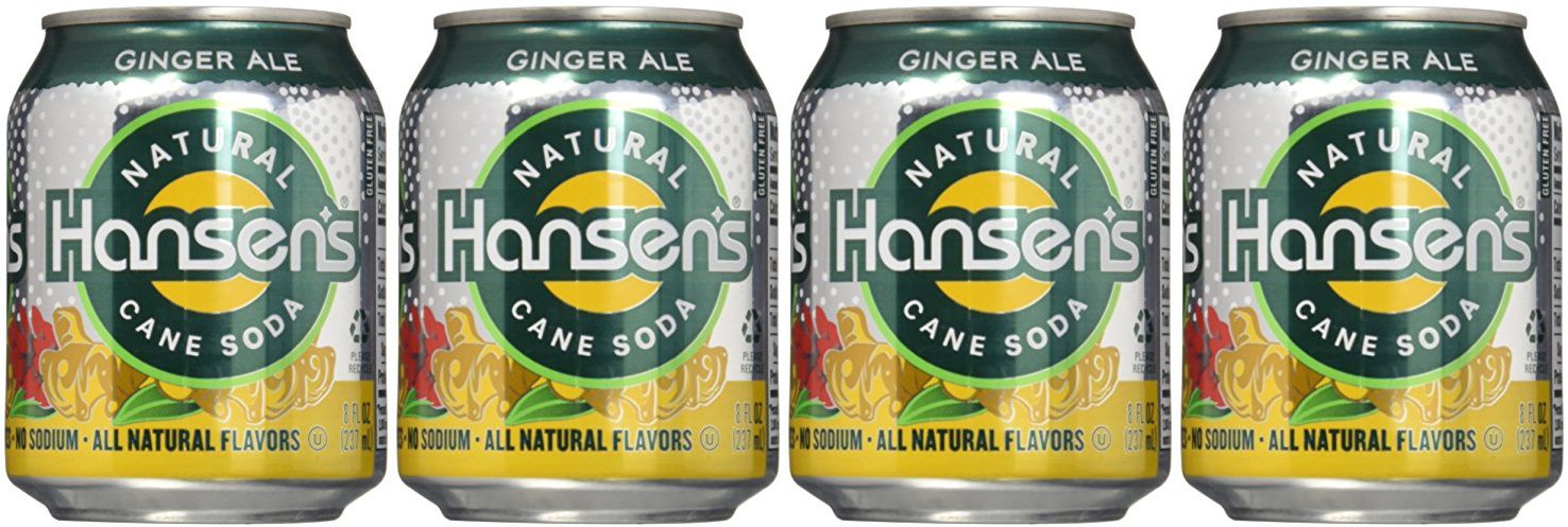 Hansen S Ginger Ale 8 Ounce Pack Of 24 Best Price Jungle Deals Blog,Pet Snakes For Sale