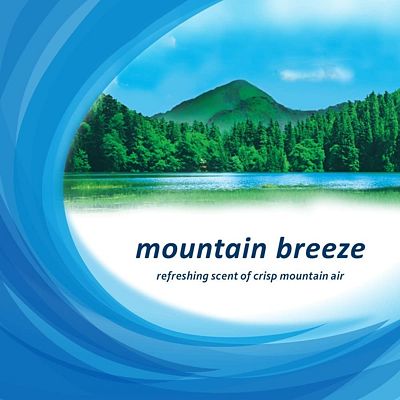 Purchase Purex Fabric Softener Dryer Sheets, Mountain Breeze, 40 Count at Amazon.com