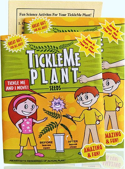 Purchase TickleMe Plant Seeds Packets (2) - Leaves Fold Together When You Tickle It at Amazon.com
