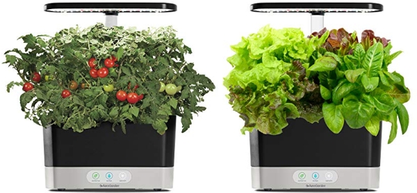 Purchase AeroGarden Harvest - With Heirloom Salad Greens Pod Kit (6-Pod) on Amazon.com
