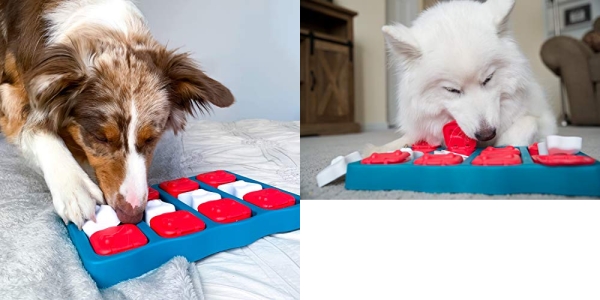 Purchase Nina Ottosson by Outward Hound - Interactive Puzzle Game Dog Toys on Amazon.com