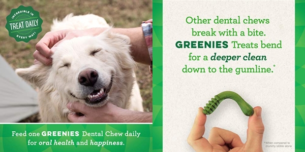 Purchase GREENIES Holiday Gingerbread Flavor Dental Dog Treats, All bone sizes on Amazon.com