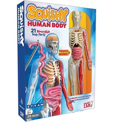Purchase SmartLab Toys Squishy Human Body with 21 Removable Body Parts with Anatomy Book at Amazon.com
