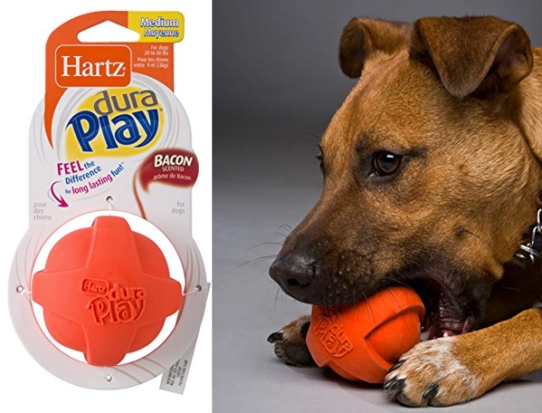 Purchase Hartz Dura Play Bacon Scented Squeak Ball Dog Toy on Amazon.com