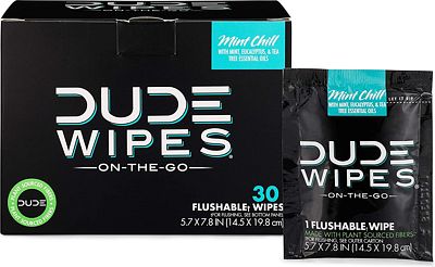 Purchase DUDE Wipes Flushable Wipes, Individually Wrapped Wet Wipes for Travel, Mint Chill Scent with Vitamin-E and Aloe, 30 On-The-Go Singles at Amazon.com