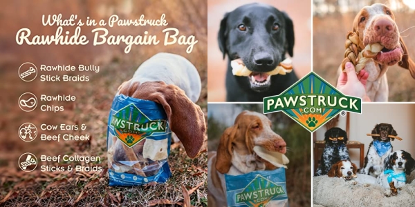 Purchase Bizarre Bargain Bag, Assorted Natural Dog Treats, Long Lasting Chews for All Breeds, Animal Ears, Bones & Jerkies for Pups and Senior Dogs, Rawhide Alternative for Aggressive Chewers on Amazon.com