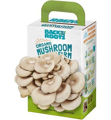 Purchase Back to the Roots Organic Mini Mushroom Grow Kit, Harvest Gourmet Oyster Mushrooms In 10 days at Amazon.com