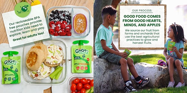 Purchase GoGo squeeZ Applesauce on the Go, Apple Cinnamon, 3.2 Ounce (12 Pouches), Gluten Free, Vegan Friendly, Healthy Snacks, Unsweetened Applesauce, Recloseable, BPA Free Pouches on Amazon.com