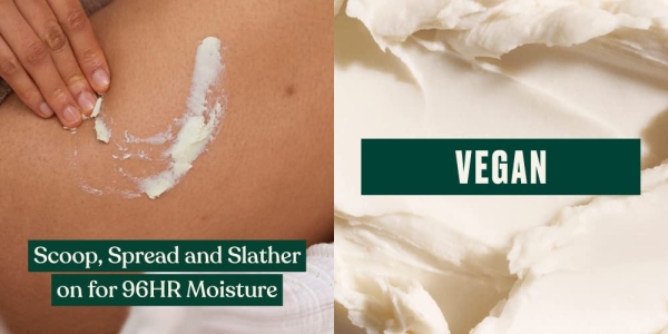 Purchase The Body Shop Body Butter, Shea, 1.69 Ounce on Amazon.com