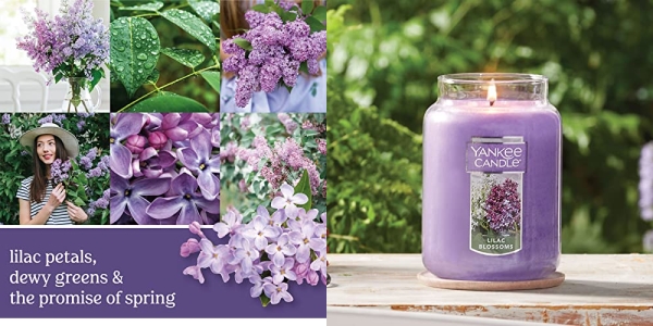 Purchase Yankee Candle Large Jar Candle Lilac Blossoms on Amazon.com