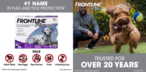 Purchase Frontline Plus Flea and Tick Treatment for Dogs (Large Dog, 45-88 Pounds, 3 Doses) on Amazon.com