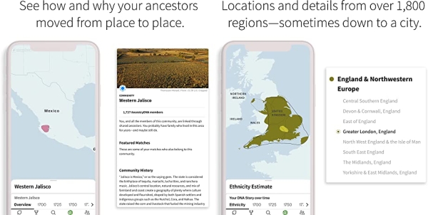 Purchase AncestryDNA: Genetic Ethnicity Test on Amazon.com