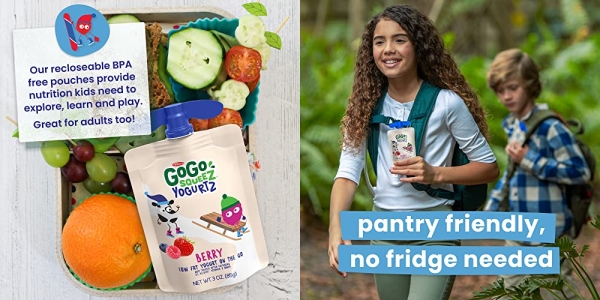 Purchase GoGo squeeZ YogurtZ, Berry, 3 Ounce (4 Pouches), Low Fat Yogurt, Recloseable, BPA Free Pouches on Amazon.com