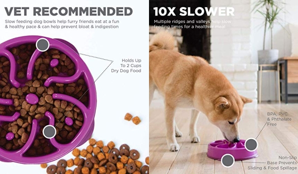 Purchase Outward Hound Fun Feeder Slo Bowl - Slow Feeder Dog Bowl on Amazon.com