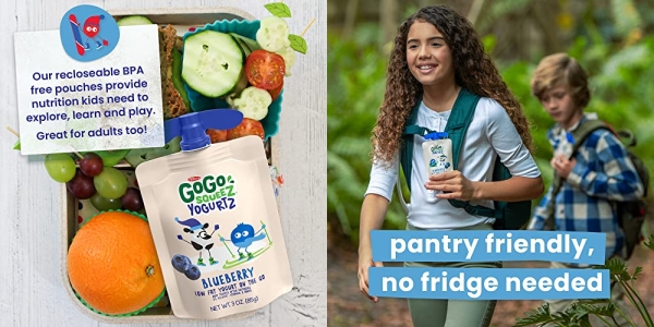 Purchase GoGo squeeZ YogurtZ, Blueberry, 3 Ounce (4 Pouches), Low Fat Yogurt, Gluten Free, Pantry-friendly, Recloseable, BPA Free Pouches on Amazon.com