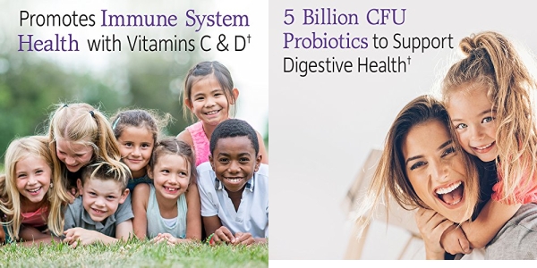 Purchase Garden of Life Dr. Formulated Probiotics Organic Kids+ plus Vitamin C & D - Berry Cherry, 30 Chewables on Amazon.com
