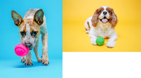 Purchase Hartz Dura Play Bacon Scented Squeak Ball Dog Toy on Amazon.com