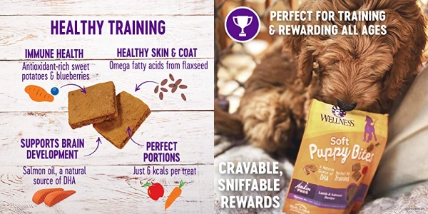 Purchase Wellness Soft Puppy Bites Natural Grain Free Puppy Training Treats, Lamb & Salmon, 3-Ounce Bag on Amazon.com