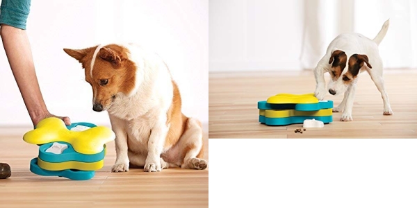 Purchase Nina Ottosson by Outward Hound Dog Treat Puzzle on Amazon.com