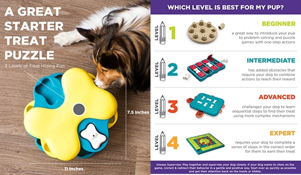 Purchase Nina Ottosson by Outward Hound Dog Treat Puzzle on Amazon.com