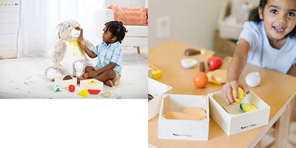 Purchase Melissa & Doug Food Groups - 21 Wooden Pieces and 4 Crates on Amazon.com