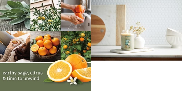 Purchase Yankee Candle Sage & Citrus Scented, Classic 22oz Large Jar Single Wick Candle, Over 110 Hours of Burn Time on Amazon.com