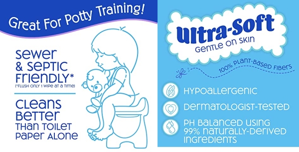 Purchase Nice 'N CLEAN Toddler Wipes 42ct (6-Pack), Great for Potty Training on Amazon.com