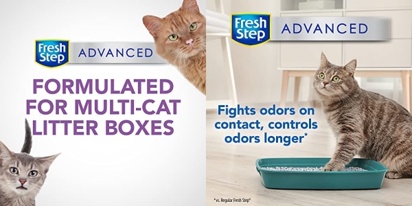 Purchase Fresh Step Clumping Cat Litter, Advanced, Multi-Cat Odor Control, Extra Large, 37 Pounds total (2 Pack of 18.5lb Boxes) on Amazon.com