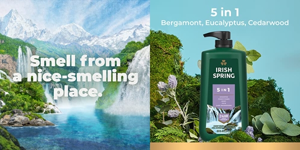 Purchase Irish Spring 5-in-1 Body Wash for Men, 30 Oz Pump on Amazon.com