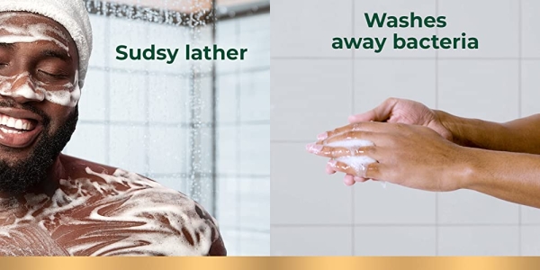 Purchase Irish Spring 5-in-1 Body Wash for Men, 30 Oz Pump on Amazon.com