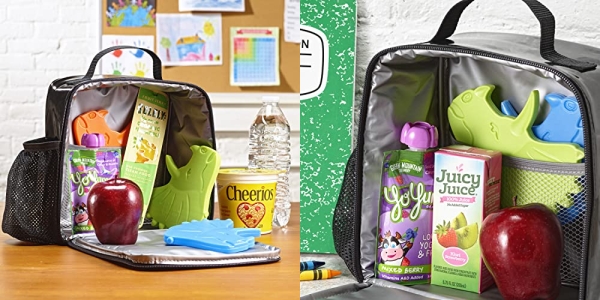 Purchase Cool Coolers by Fit + Fresh, Shaped Slim Ice Packs, Colorful & Reusable, Perfect for Kids Lunch Box, Insulated Lunch Bag, Bento Box, & More, 4PK, Dino on Amazon.com