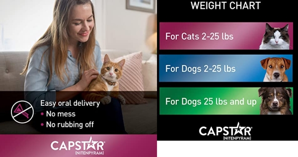 Purchase CAPSTAR (nitenpyram) Oral Flea Treatment for Cats, Fast Acting Tablets Start Killing Fleas in 30 Minutes, Cats 2-25 lbs, 6 Doses on Amazon.com
