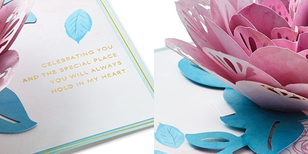 Purchase Hallmark Signature Paper Wonder Pop Up Birthday Card, Anniversary Card, Sweetest Day Card for Women (Pink Rose) on Amazon.com