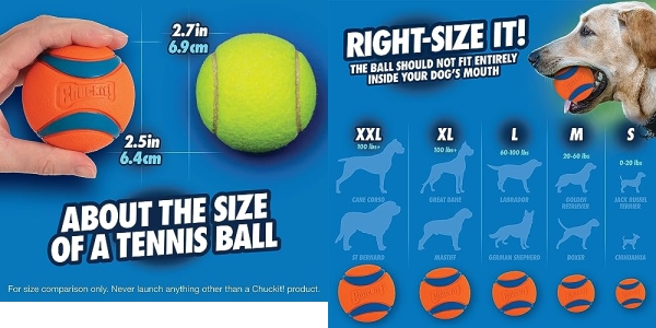 Purchase Chuckit! Ultra Ball on Amazon.com