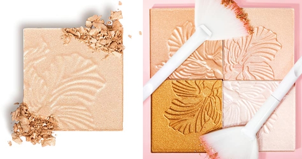 Purchase Wet n Wild MegaGlo Highlighting Powder Brown Golden Flower Crown, 0.19 Ounce, 333B on Amazon.com