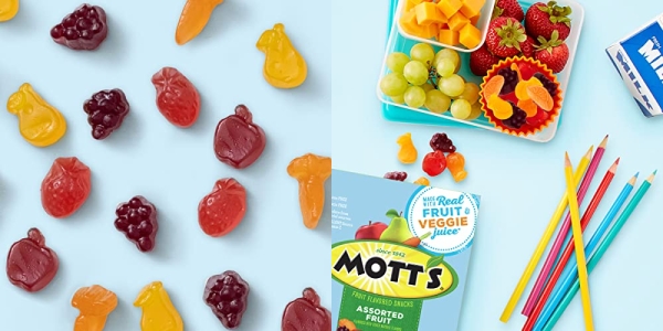 Purchase Mott's Medleys Fruit Snacks, Assorted Fruit Gluten Free Snacks, Family Size, 40 Pouches, 0.8 oz Each on Amazon.com