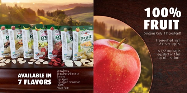 Purchase Brothers-ALL-Natural Fruit Crisps, Fuji Apple & Cinnamon, 0.35 Ounce (Pack of 24) on Amazon.com