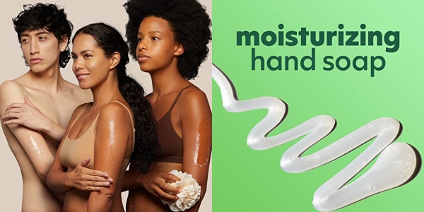 Purchase Softsoap Liquid Hand Soap, Aloe - 7.5 fluid ounce (Pack of 6) on Amazon.com