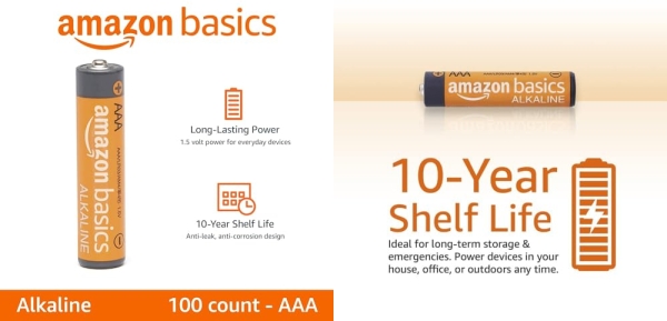 Purchase AmazonBasics AAA 1.5 Volt Performance Alkaline Batteries - Pack of 100 (Appearance may vary) on Amazon.com