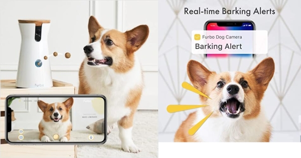 Purchase Furbo Dog Camera: Treat Tossing, Full HD Wifi Pet Camera and 2-Way Audio, Designed for Dogs, Compatible with Alexa on Amazon.com