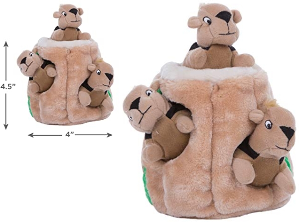 Purchase Outward Hound Hide A Squirrel Plush Dog Toy Puzzle, Small on Amazon.com