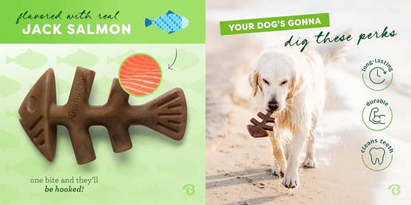 Purchase Benebone Fishbone Durable Dog Chew Toy for Aggressive Chewers, Real Fish, Made in USA, Medium on Amazon.com
