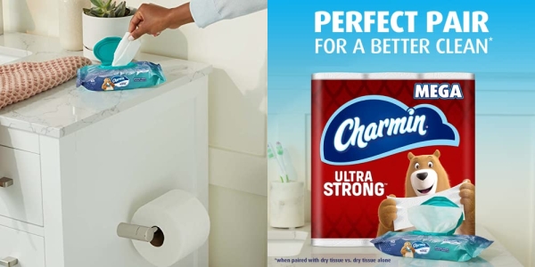 Purchase Charmin Flushable Wipes, 4 packs, 40 Wipes Per Pack, 160 Total Wipes on Amazon.com