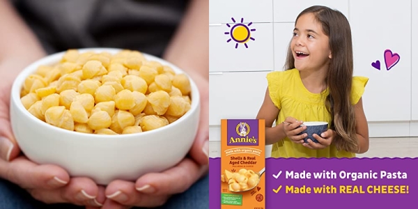Purchase Annie's Macaroni and Cheese, Shells & Aged Cheddar Mac and Cheese, 6 oz Box (Pack of 12) on Amazon.com